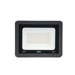 HEE LED 50W Flood Light