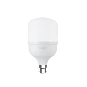 HEE LED Bulb 20W - Pin