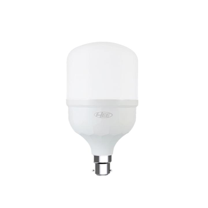 HEE LED Bulb 20W - Pin