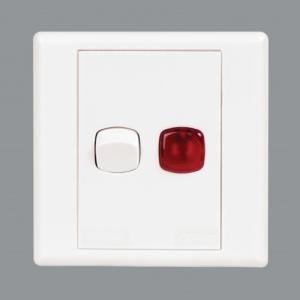 Orange 20A DP Switch